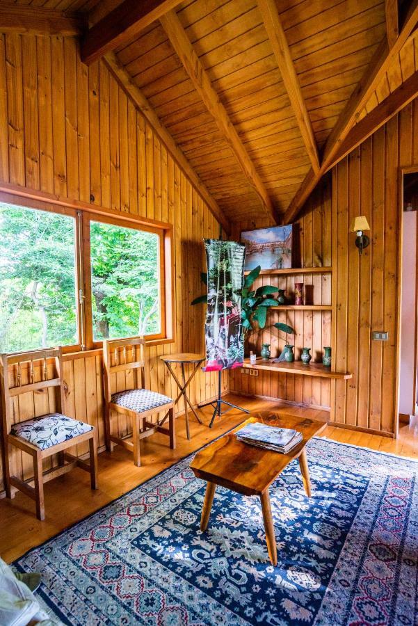Hosteria Tricahue Pucón Buitenkant foto